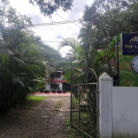 The Leisure Home Stay Shadipur Buitenkant foto